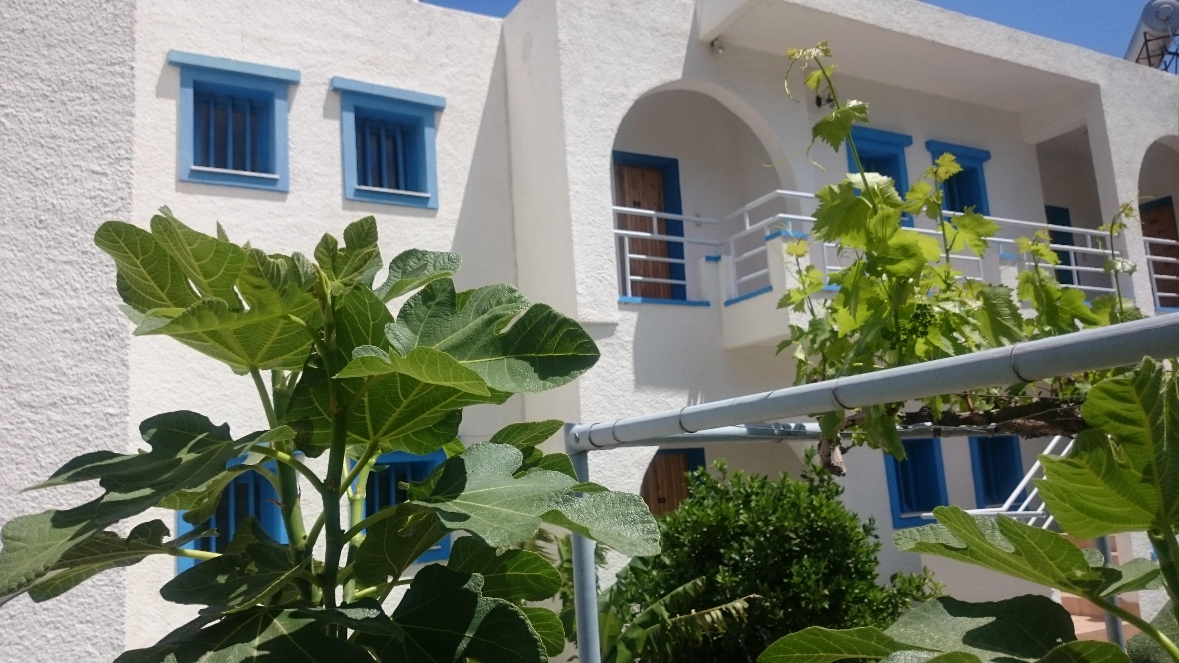 Amazones Villas Apartments Hersonissos  Ngoại thất bức ảnh