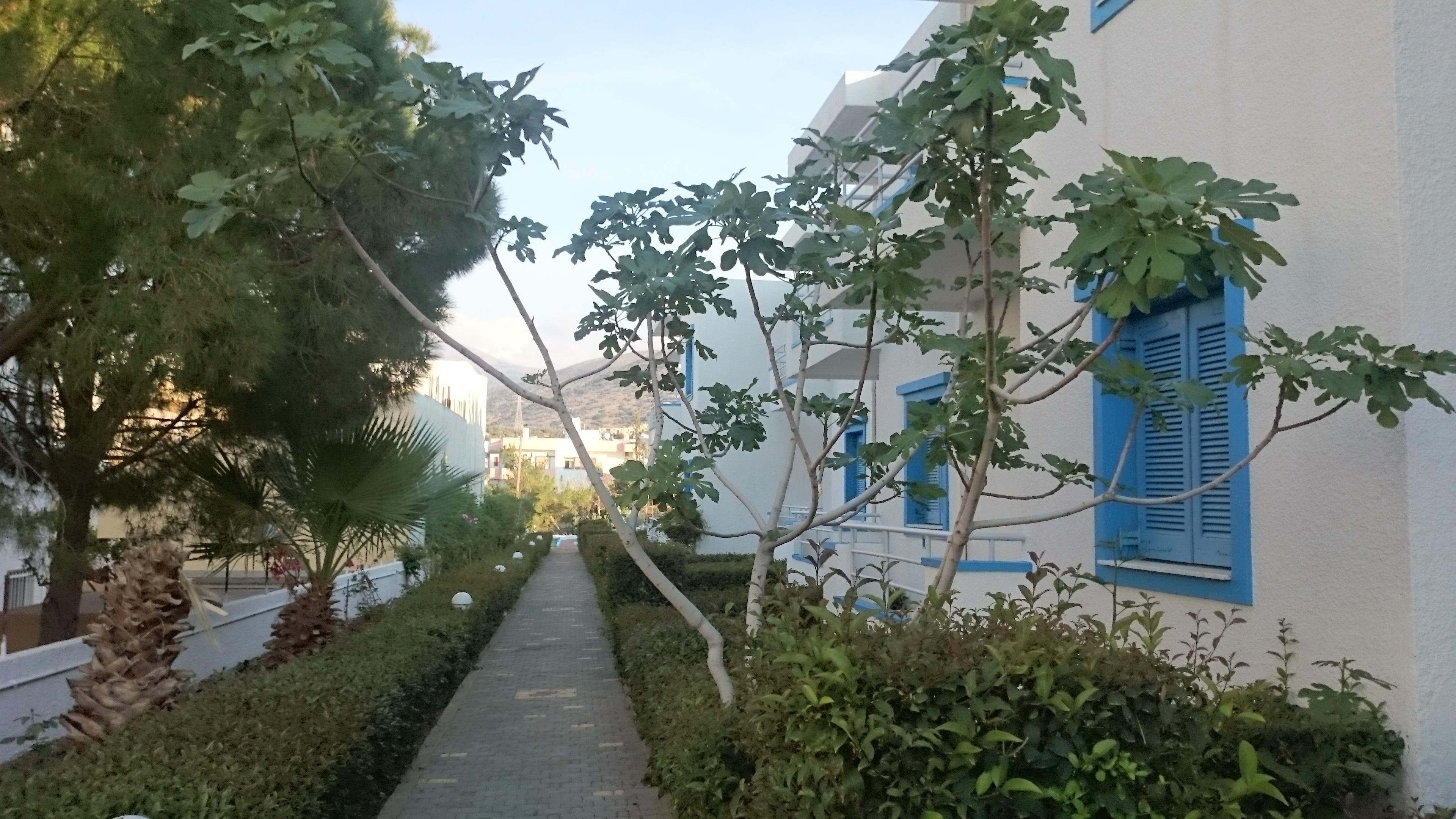 Amazones Villas Apartments Hersonissos  Ngoại thất bức ảnh